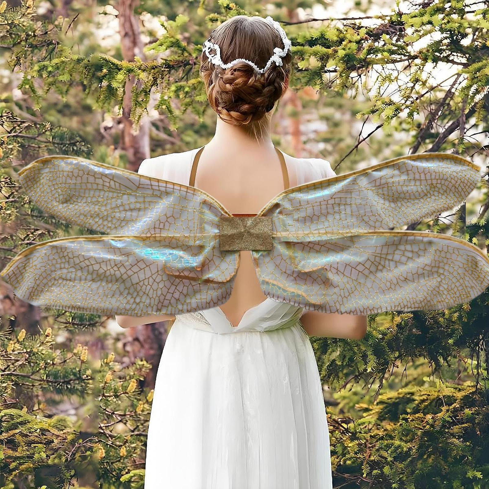 Fairy Dragonfly Wings for Kids - огляд і ціна Anime Cosplay Photo